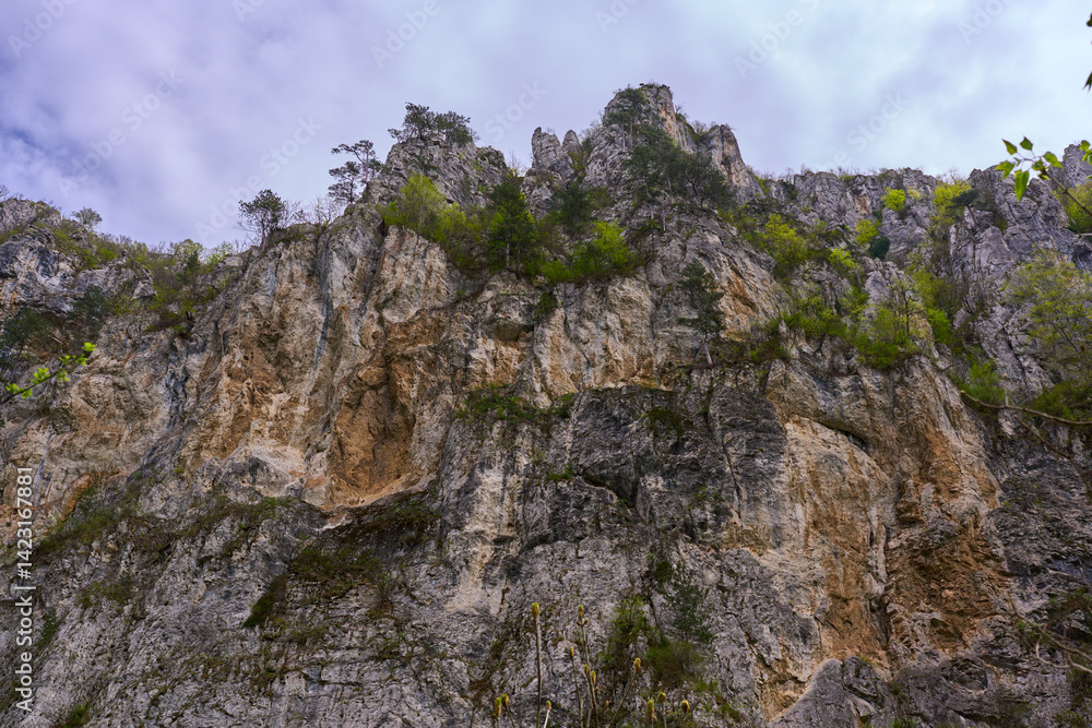 Spring cliffs and forested peaks Spring cliffs and forested peaks
