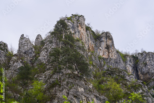 Spring cliffs and forested peaks