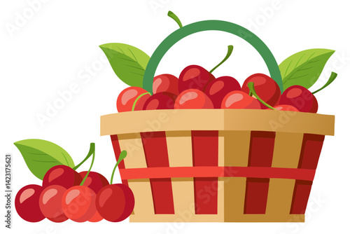 Cherries Tumble from a Fresh Picked Harvest Basket