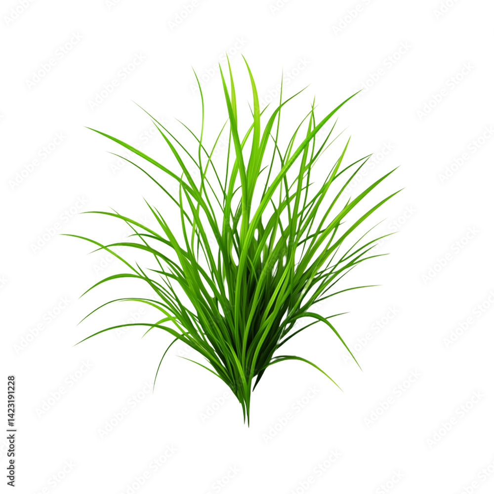 Fototapeta premium Lush green grass with vibrant blades creating natural look