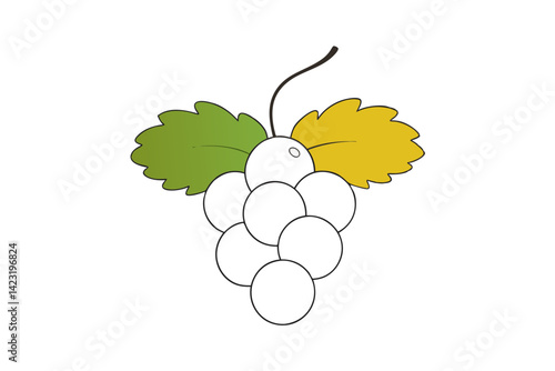 White Currant Cluster Outline Vector Drawing
