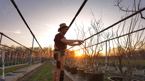 Obraz na płótnie Male gardener working in a blueberries organic farm. w salonie