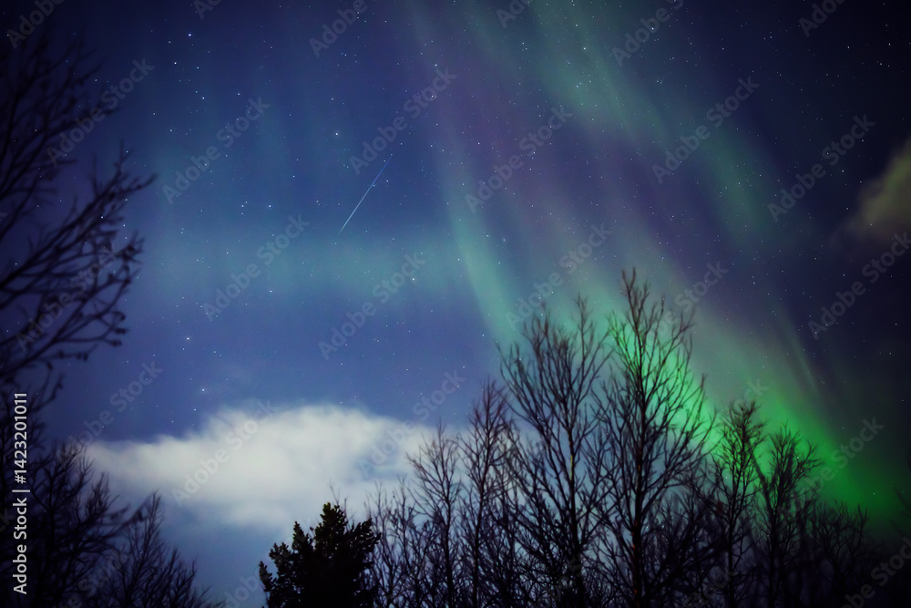 Aurora borealis, polar lights with Milky Way stars.