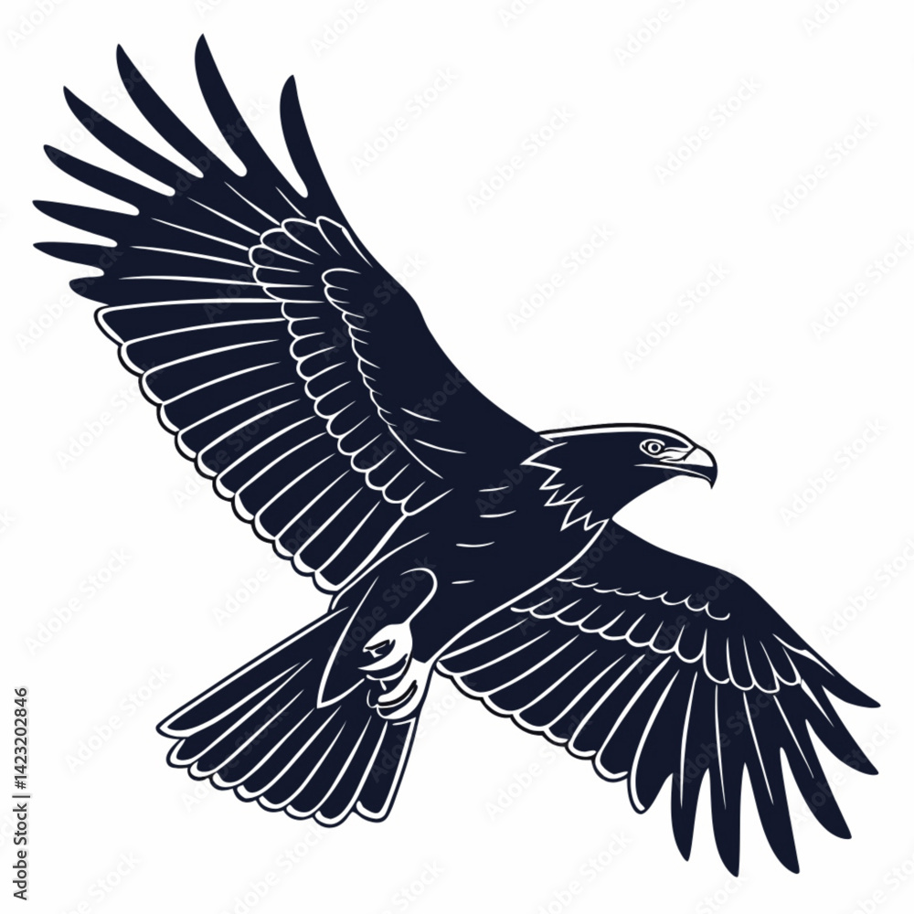 Obraz premium eagle in flight