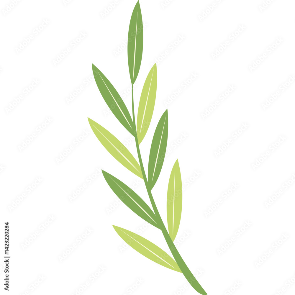 Hand Drawn Leaf Hand Drawn Leaf