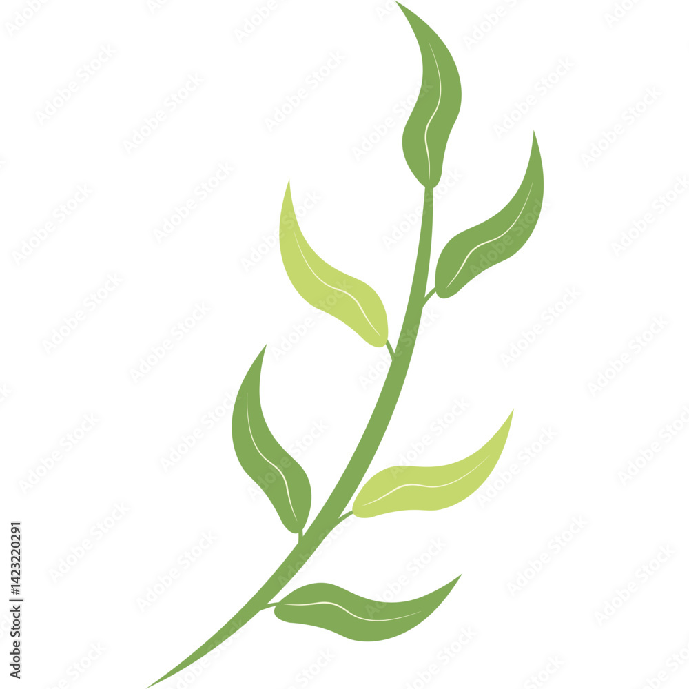 Obraz premium Hand Drawn Leaf