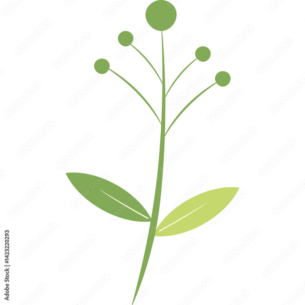 Fototapeta premium Hand Drawn Leaf