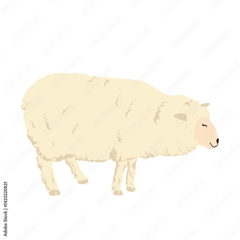 A sheep A sheep