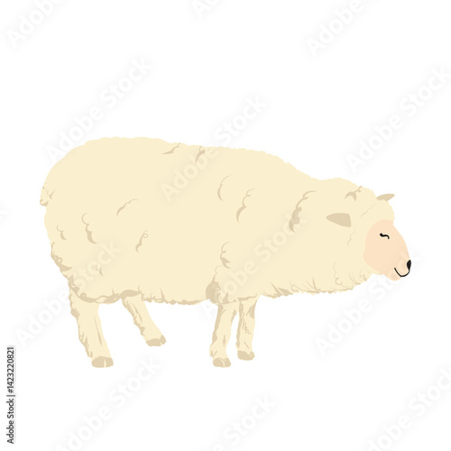A sheep