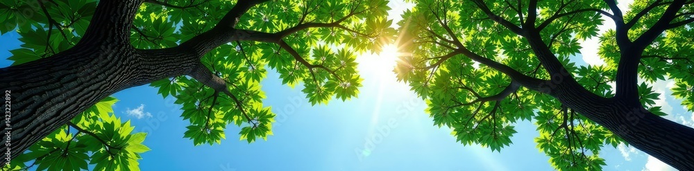 Majestic tree branches stretch towards the heavens, isolated, branch Majestic tree branches stretch towards the heavens, isolated, branch