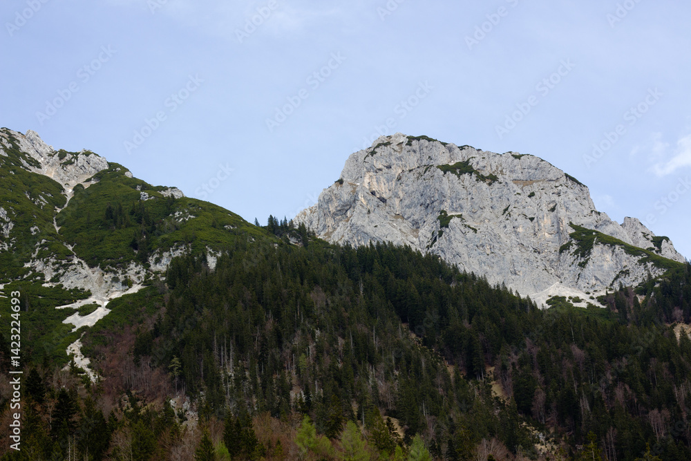 Fototapeta premium Majestic rocky mountain partially covered with green trees under a bright sky