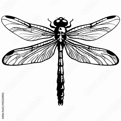 Detailed Dragonfly Illustration in Black and White—Symbolizing Change and Transformation with Intricate Wing Patterns