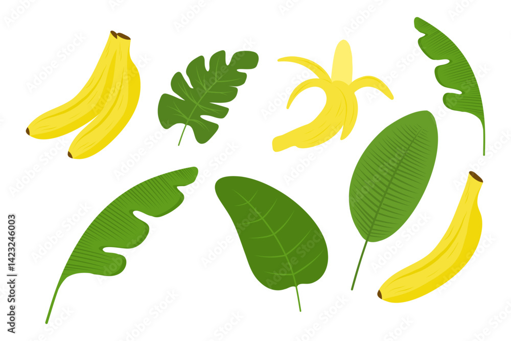 Fototapeta premium Banana fruits and leaves set, tropical fruit collection