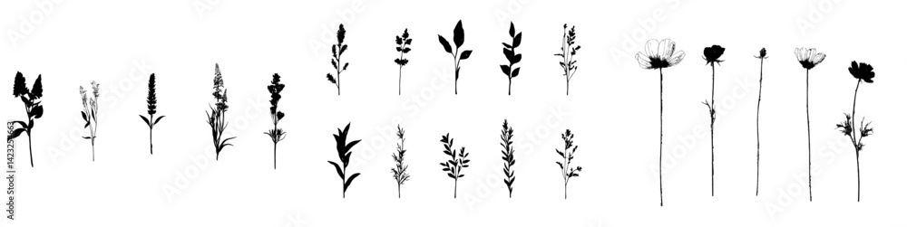 Vector illustration of various botanical silhouettes showcasing diverse plant forms and structures in a minimalistic style Vector illustration of various botanical silhouettes showcasing diverse plant forms and structures in a minimalistic style