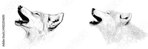 Howling wolf icon vector illustration showcasing intricate line art design and expressive features in monochrome style