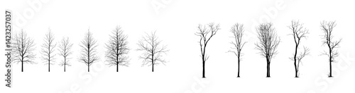 Vector illustration of various silhouettes of bare trees showcasing different shapes and heights for design purposes