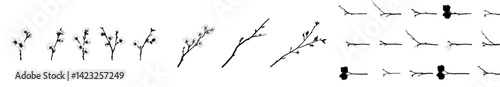 Black and white vector illustration of tree branches with flowers and buds in various stages of growth