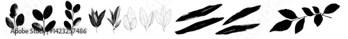 Vector illustration of various leaf designs and artistic brush strokes for creative projects and graphic design use