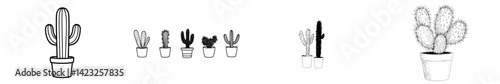 Stylized vector illustration of various cacti in decorative pots showcasing unique shapes and details suitable for design projects