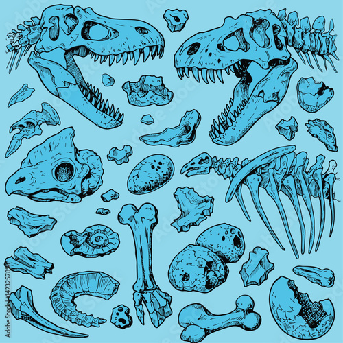 Dinosaurs fossils and bones hand drawn vector illustration
