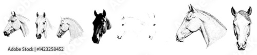Vector illustration of various horse head silhouettes showcasing different breeds and styles in a minimalist design