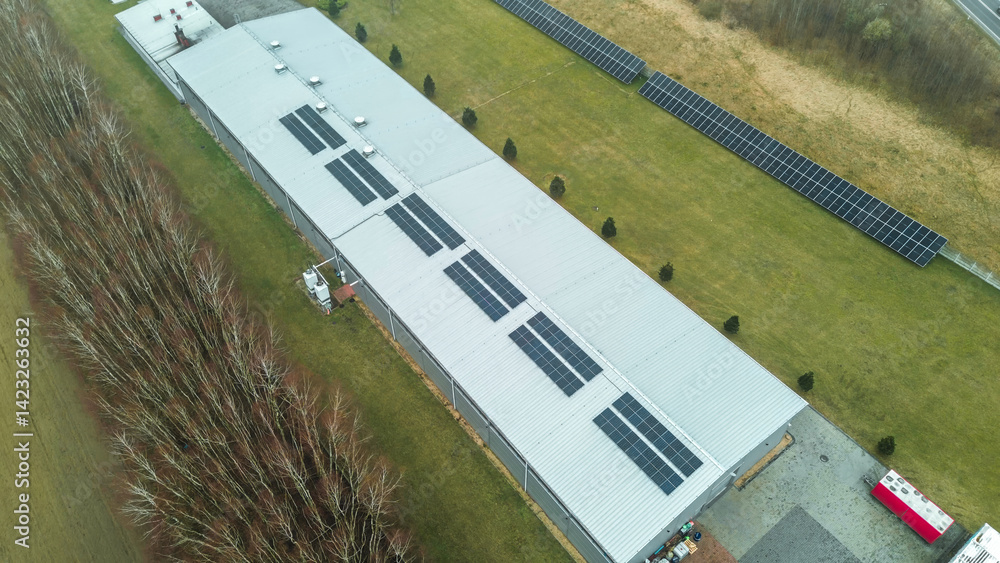 Solar panels arranged in neat rows