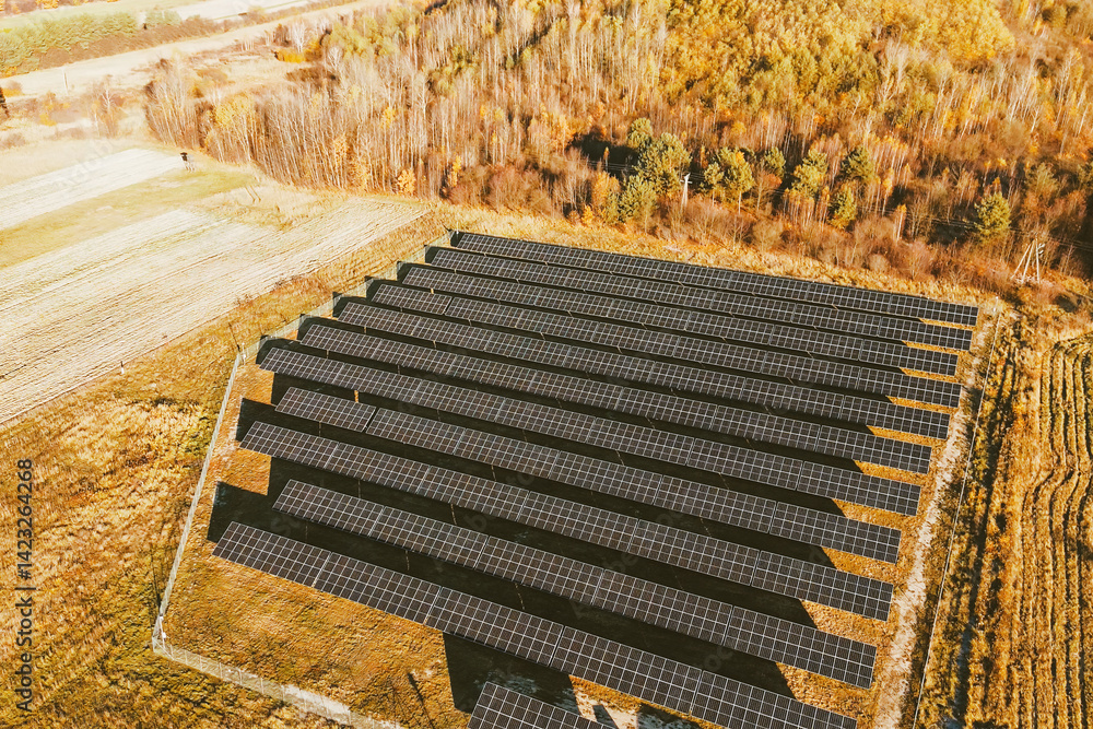 Rows of solar panels harvesting sunlight