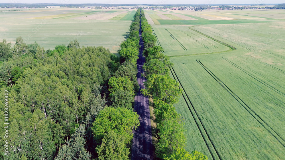 Forest and farmland divided by a road aerial view