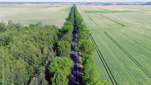 Obraz na płótnie Forest and farmland divided by a road aerial view w salonie