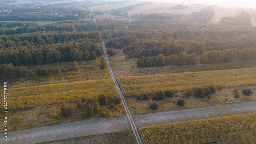 Dirt trail through woods and open fields