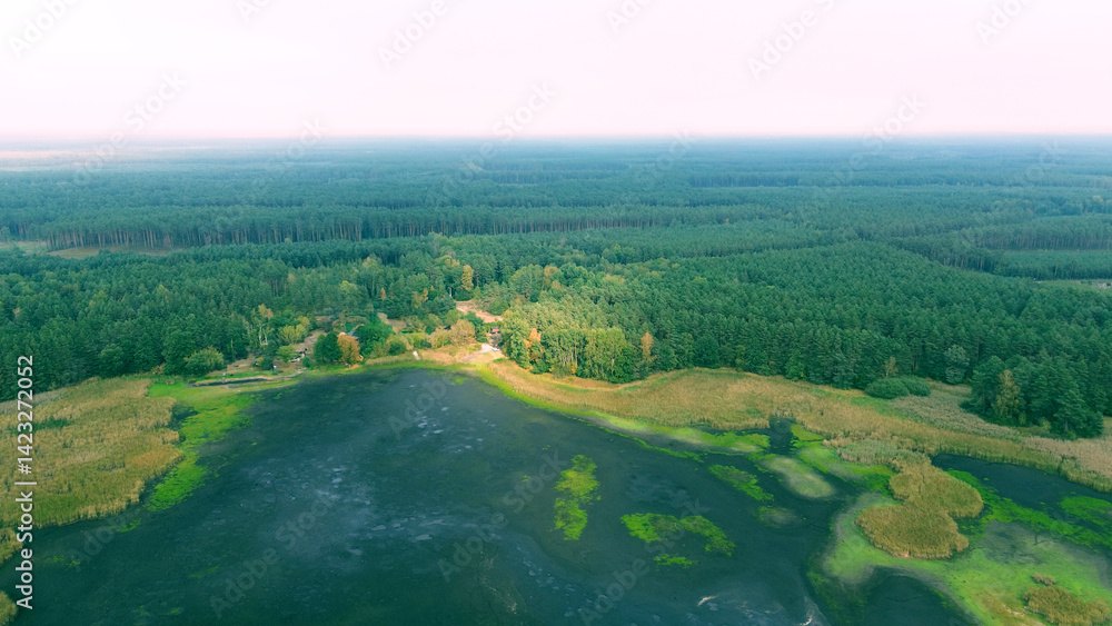 Scenic view of drying lake and trees