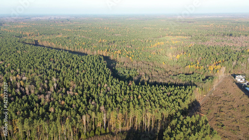 Obraz na płótnie Vibrant fall forest landscape from above w salonie