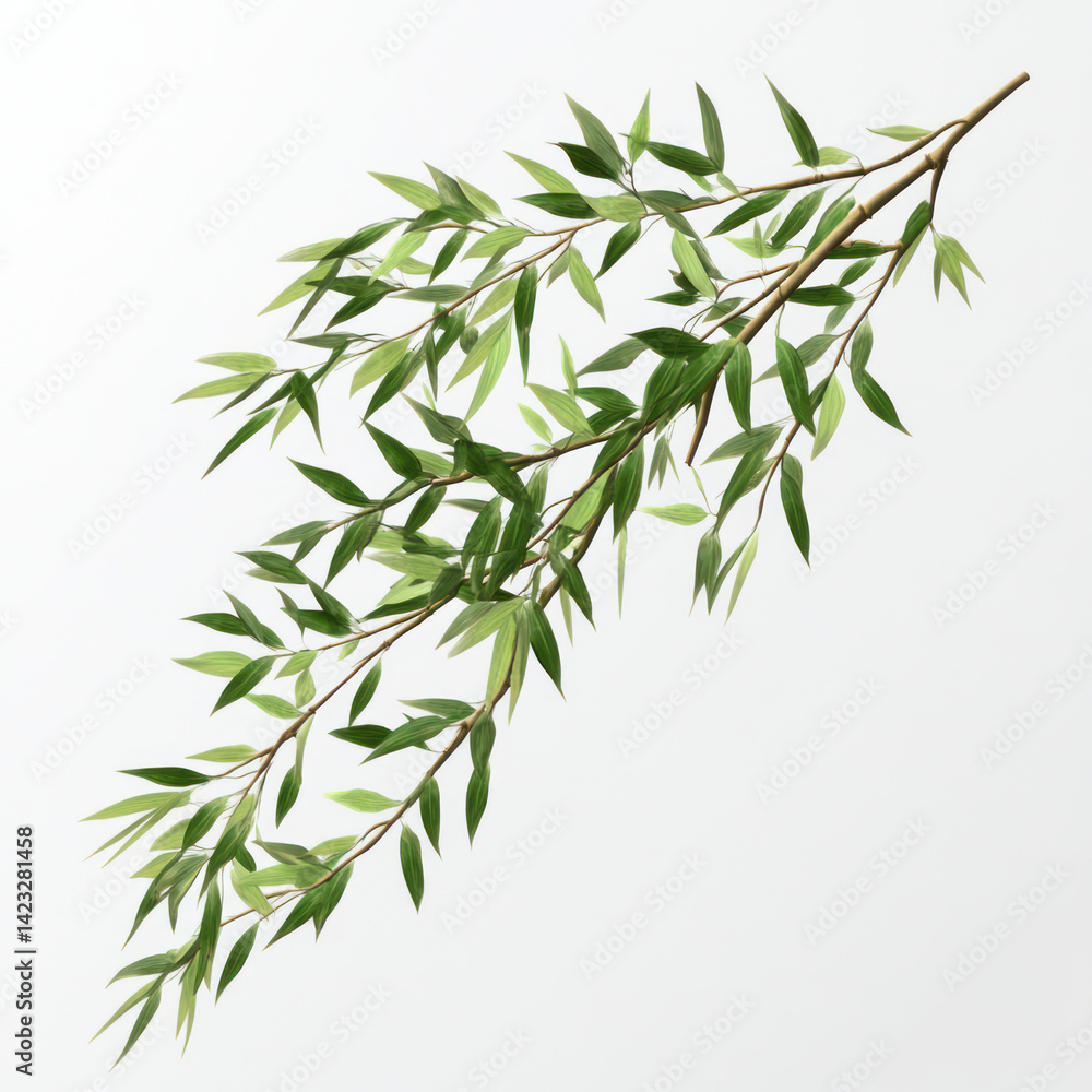 Fototapeta premium bamboo leaves isolated on white