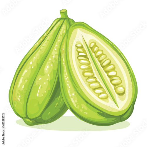 Green chayote squash cutaway illustration with seeds on white background