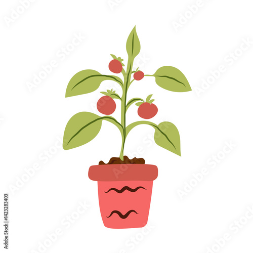 Vector illustration of tomatoes growing in greenhouse