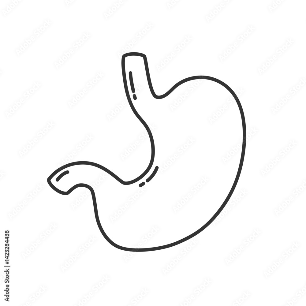 Outline stomach icon isolated flat style. Outline stomach icon isolated flat style.