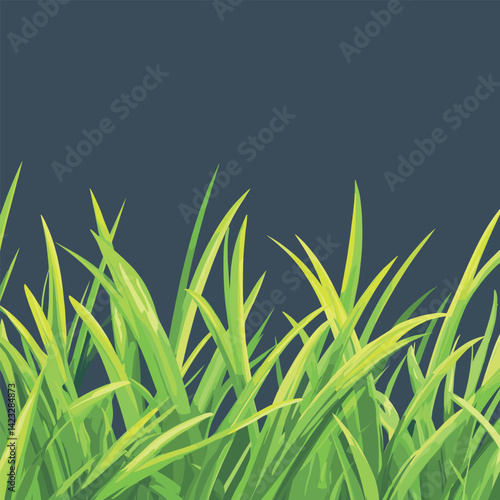 Vibrant green grass blades against dark blue sky in peaceful nature scene