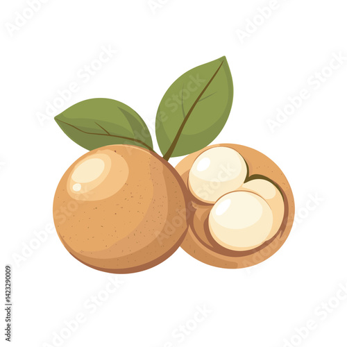 Sapodilla fruit with leaves - tropical freshness and natural sweetness