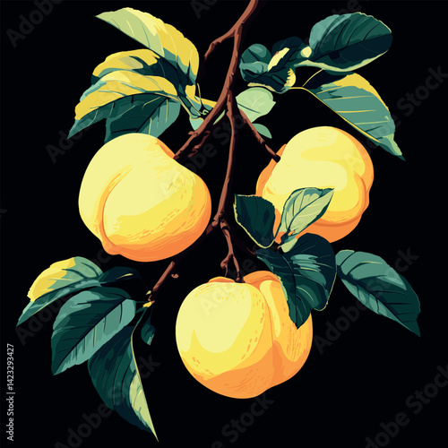 Bright yellow peaches on branch with lush green leaves against black background