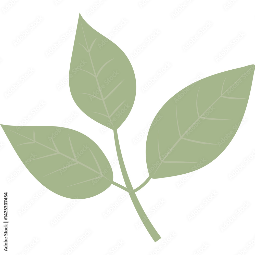 Fototapeta premium Hand Drawn Leaf