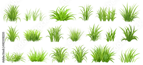 Isolated green grass bunches. Spring summer meadow lawn elements. Cartoon decorative garden elements, seasonal fresh natural vector set