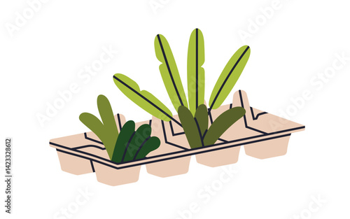 Egg tray, holder, eco-friendly packaging. Biodegradable carton container with...