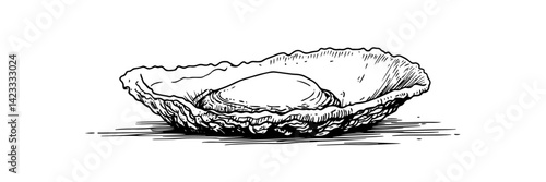 open oyster shell with pearl – elegant marine treasure ink drawing