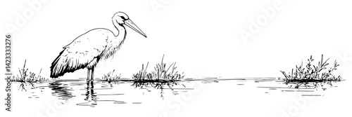 wading bird in calm wetland – elegant nature line drawing with reflections