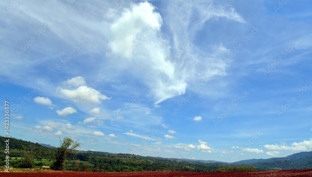 landscape with clouds and blue sky