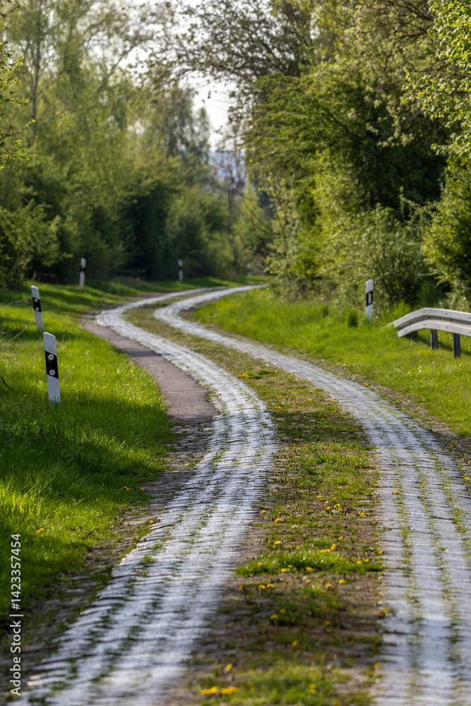 Eine alter Kopfsteinpflasterstraße im Frühling