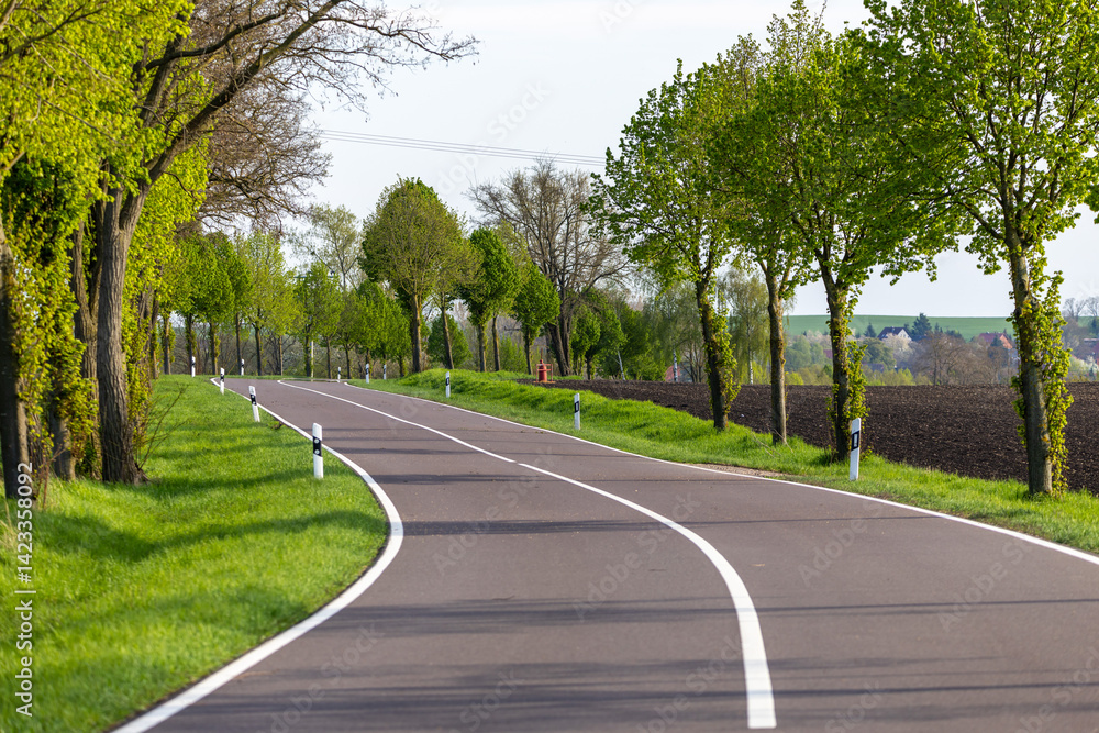Eine Bundesstraße mit einer Allee an Bäumen im Frühling