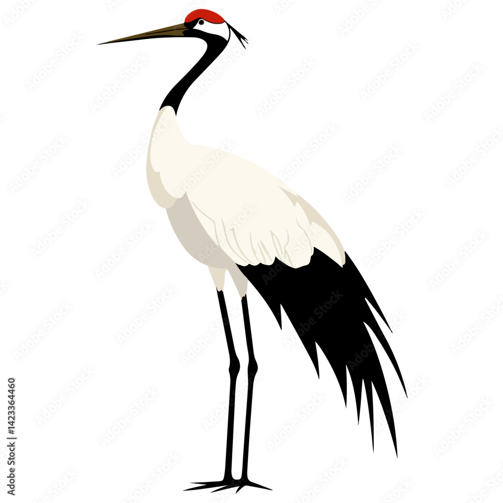 Obraz premium crane, animal, vector, transparent background