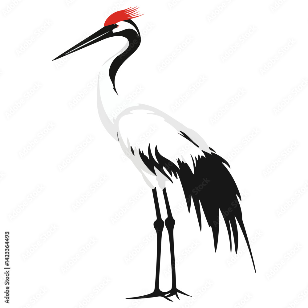 crane, animal, vector, transparent background crane, animal, vector, transparent background
