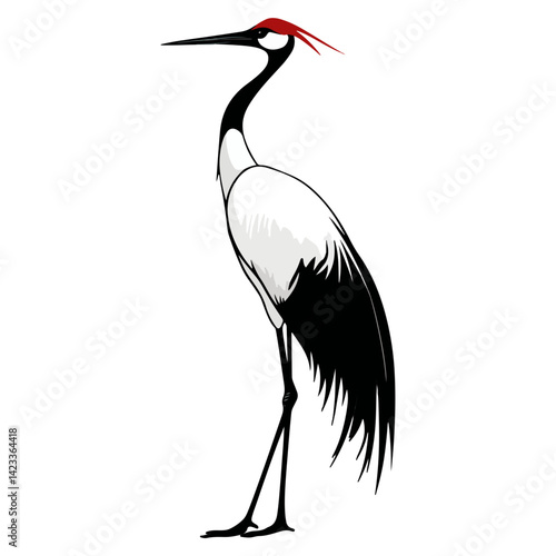 crane, animal, vector, transparent background